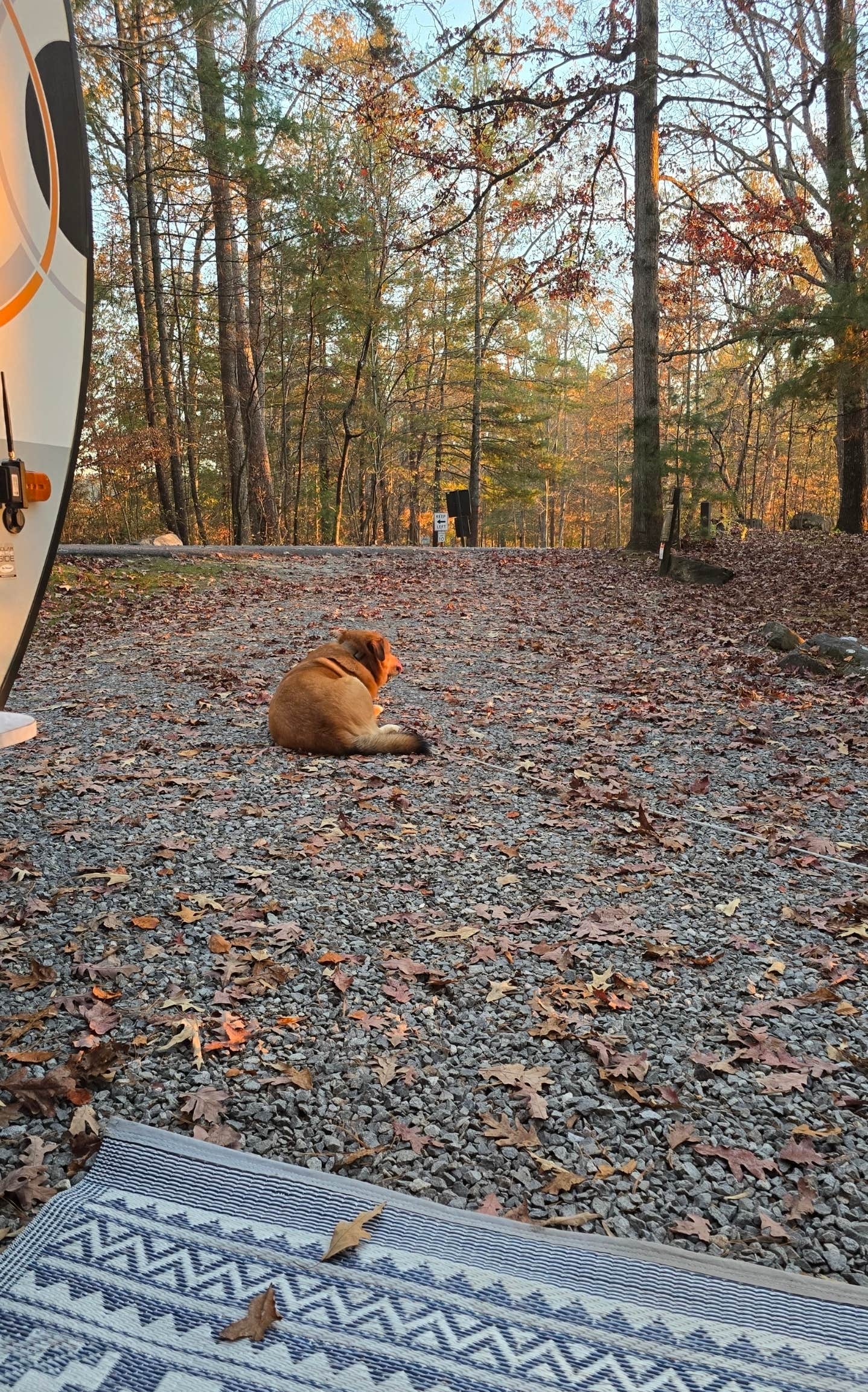 Alisha L.'s photo at Morganton Point Campground near Epworth, GA