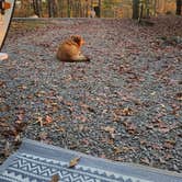 Review photo of Morganton Point Campground by Alisha L., August 4, 2025