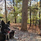 Review photo of Morganton Point Campground by Alisha L., August 4, 2025