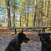 Review photo of Morganton Point Campground by Alisha L., August 4, 2025
