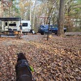Review photo of Morganton Point Campground by Alisha L., August 4, 2025