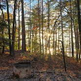Review photo of Morganton Point Campground by Alisha L., August 4, 2025