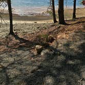 Review photo of Morganton Point Campground by Alisha L., August 4, 2025