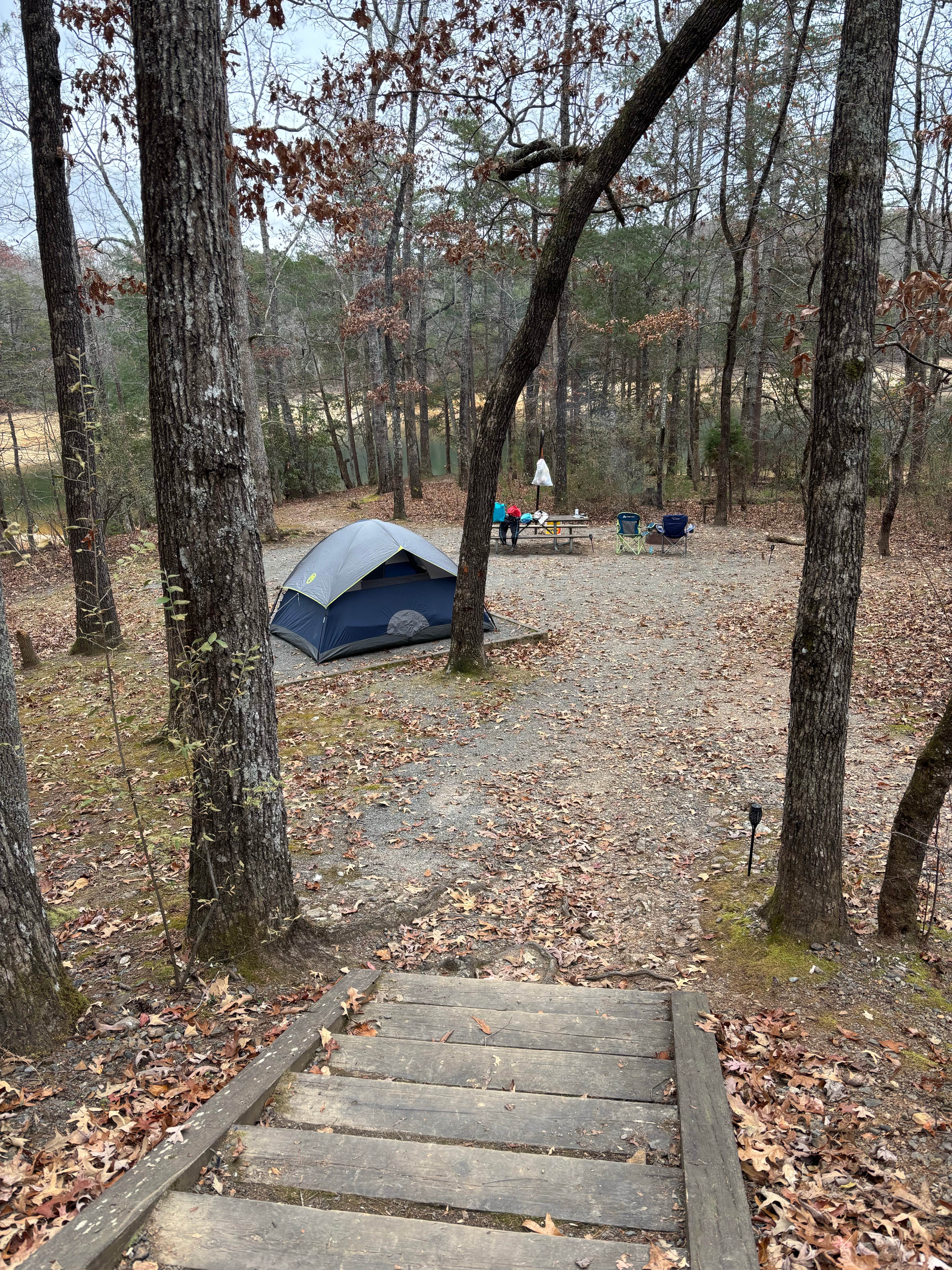 Tia K.'s photo at Morganton Point Campground near Copperhill, TN