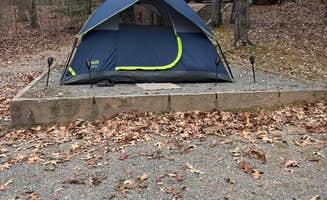 Tia K.'s photo at Morganton Point Campground near Mineral Bluff, GA