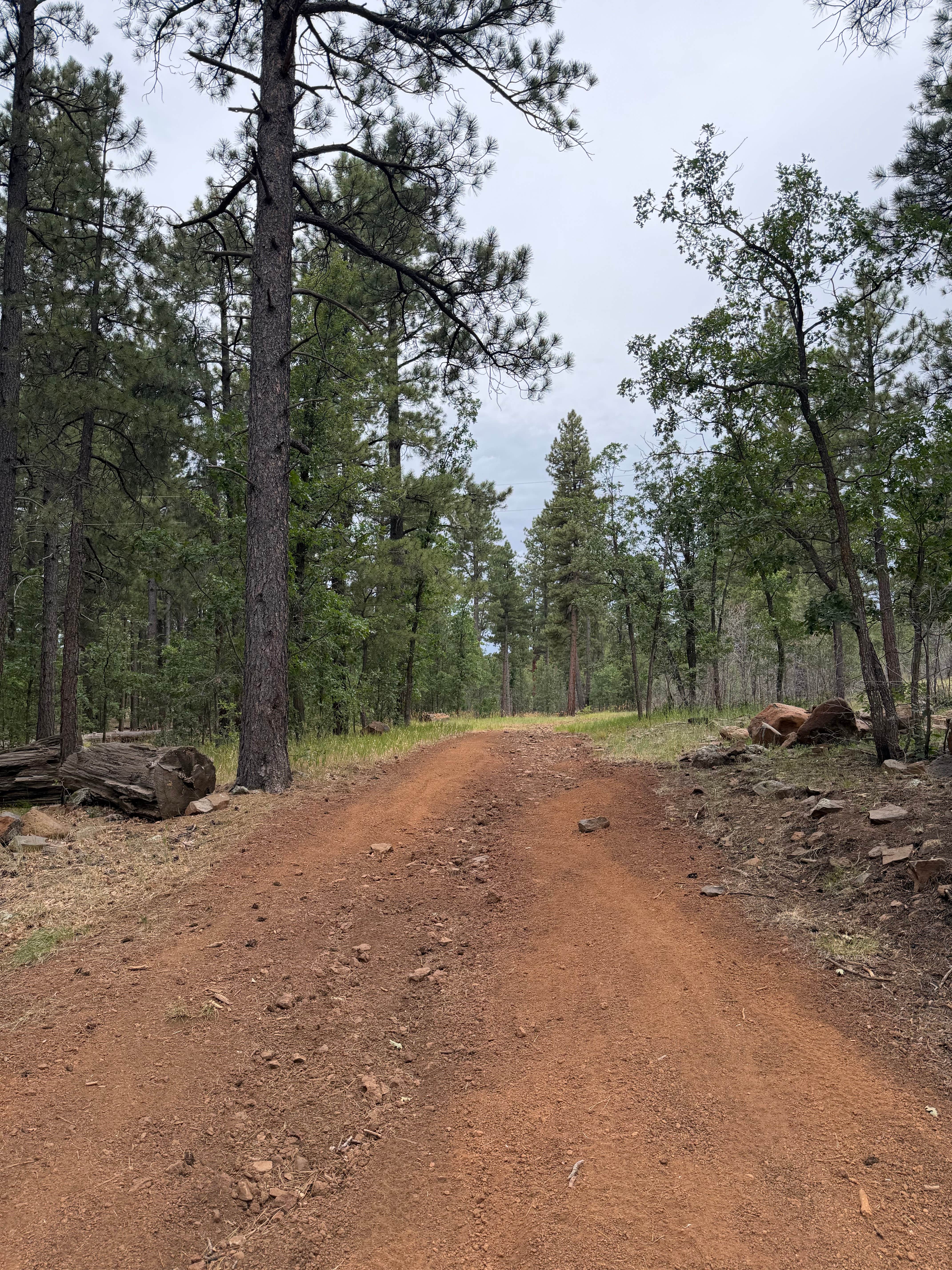 Camper-submitted photo at Mormon Lake Lodge RV Park & Campground near Winslow, AZ
