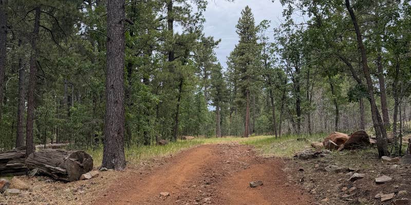 Camper submitted image from Mormon Lake Lodge RV Park & Campground