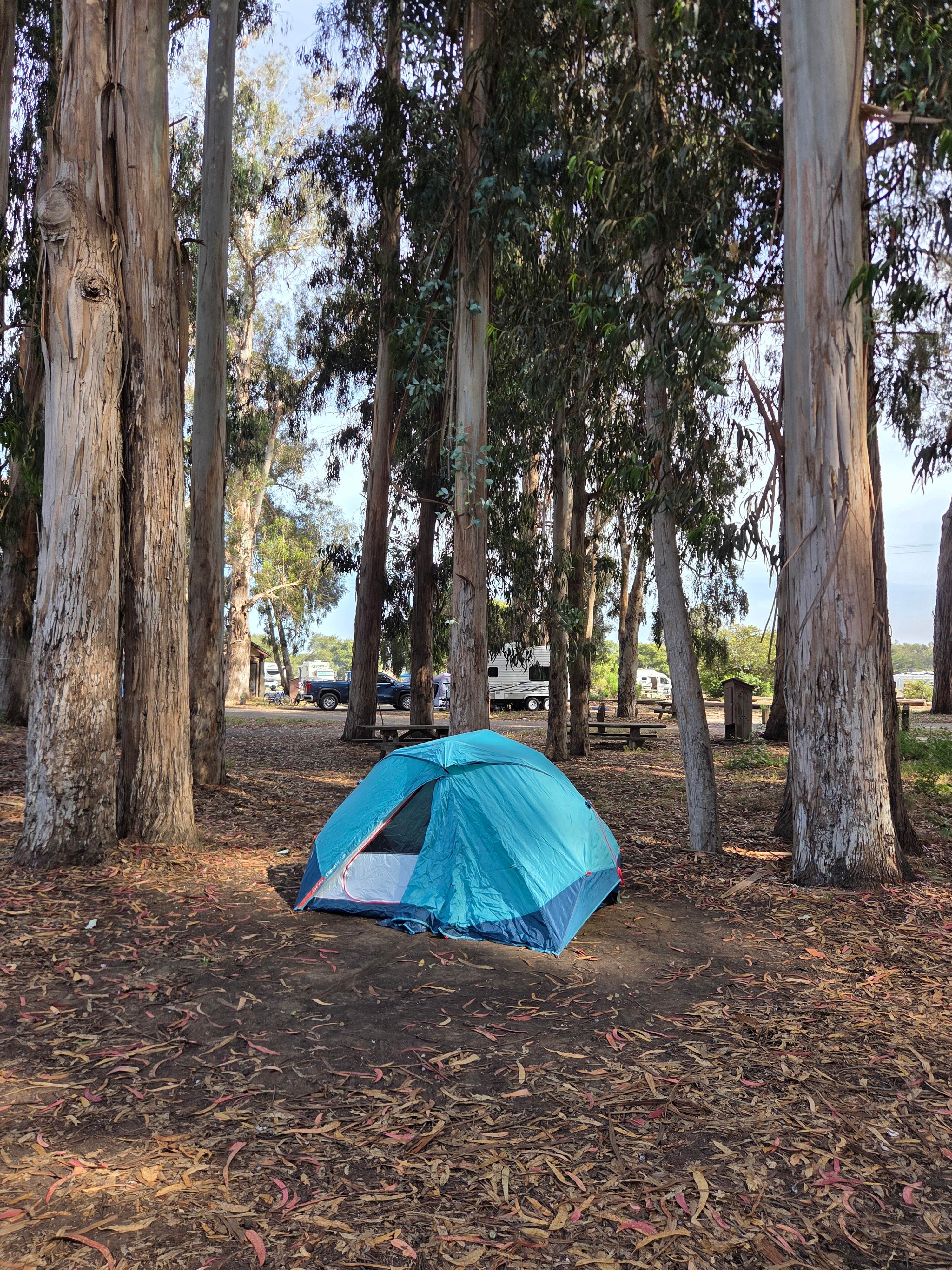 Alex M.'s photo at Morro Bay State Park Campground near Avilla Beach, CA