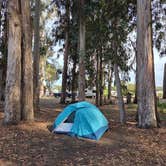 Review photo of Morro Bay State Park Campground by Alex M., June 8, 2026