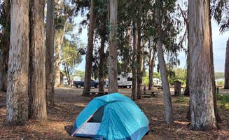 Alex M.'s photo at Morro Bay State Park Campground near Atascadero, CA