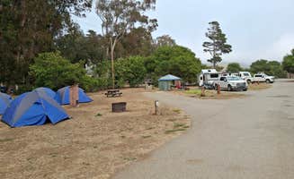 Leonard H.'s photo at Morro Bay State Park Campground near Atascadero, CA