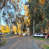 Review photo of Morro Bay State Park Campground by Kevin M., April 3, 2026