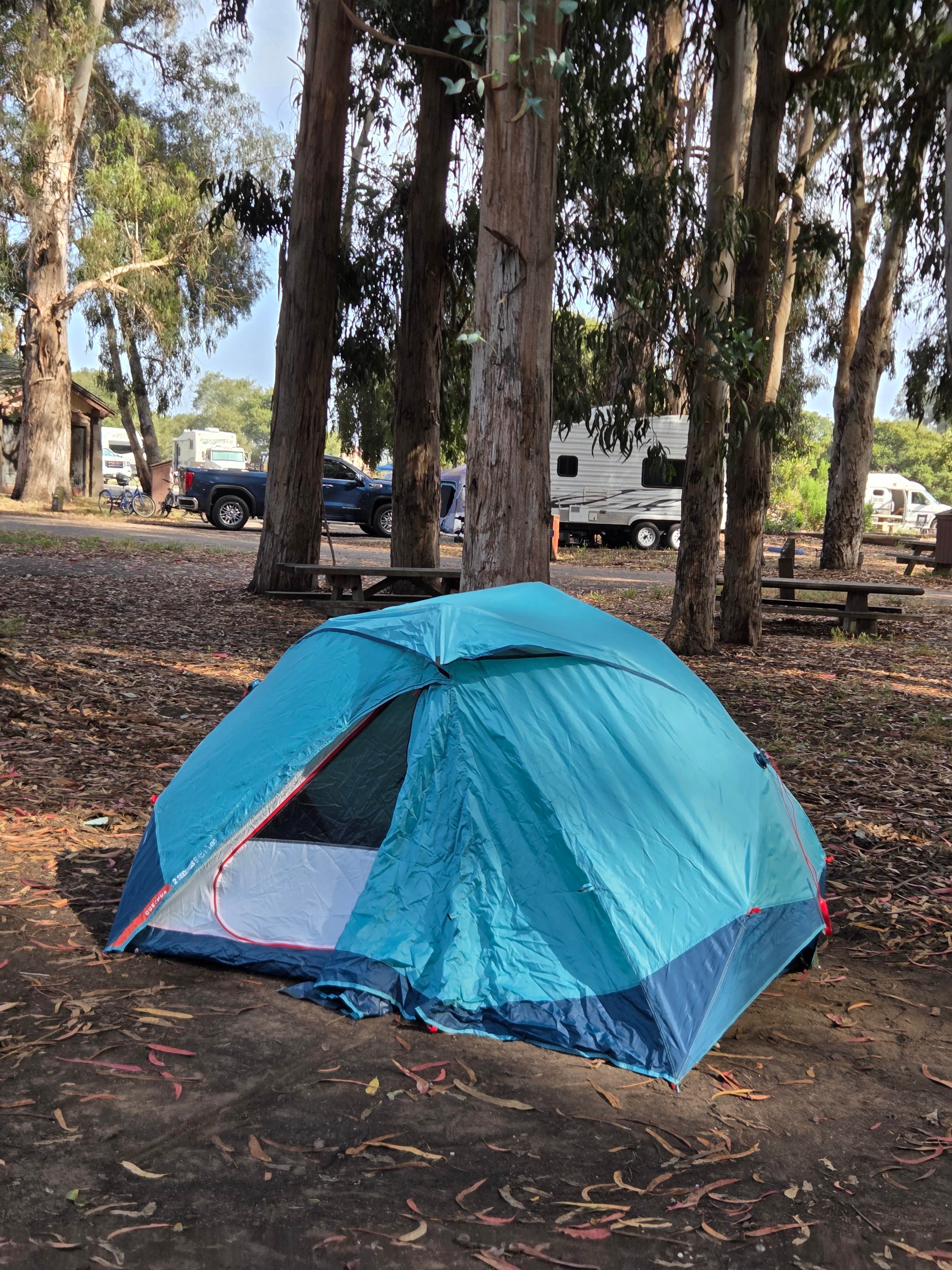 Alex M.'s photo at Morro Bay State Park Campground near Atascadero, CA