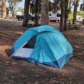 Review photo of Morro Bay State Park Campground by Alex M., June 8, 2026
