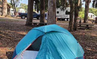 Alex M.'s photo at Morro Bay State Park Campground near Atascadero, CA