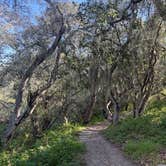 Review photo of Morro Bay State Park Campground by Kim G., March 7, 2026