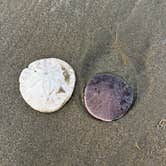 Review photo of Morro Strand State Beach Campground by Candyse D., January 22, 2026