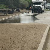 Review photo of Morro Strand State Beach Campground by Ursula , February 20, 2026