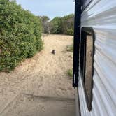 Review photo of Morro Strand State Beach Campground by Hattie R., June 12, 2025