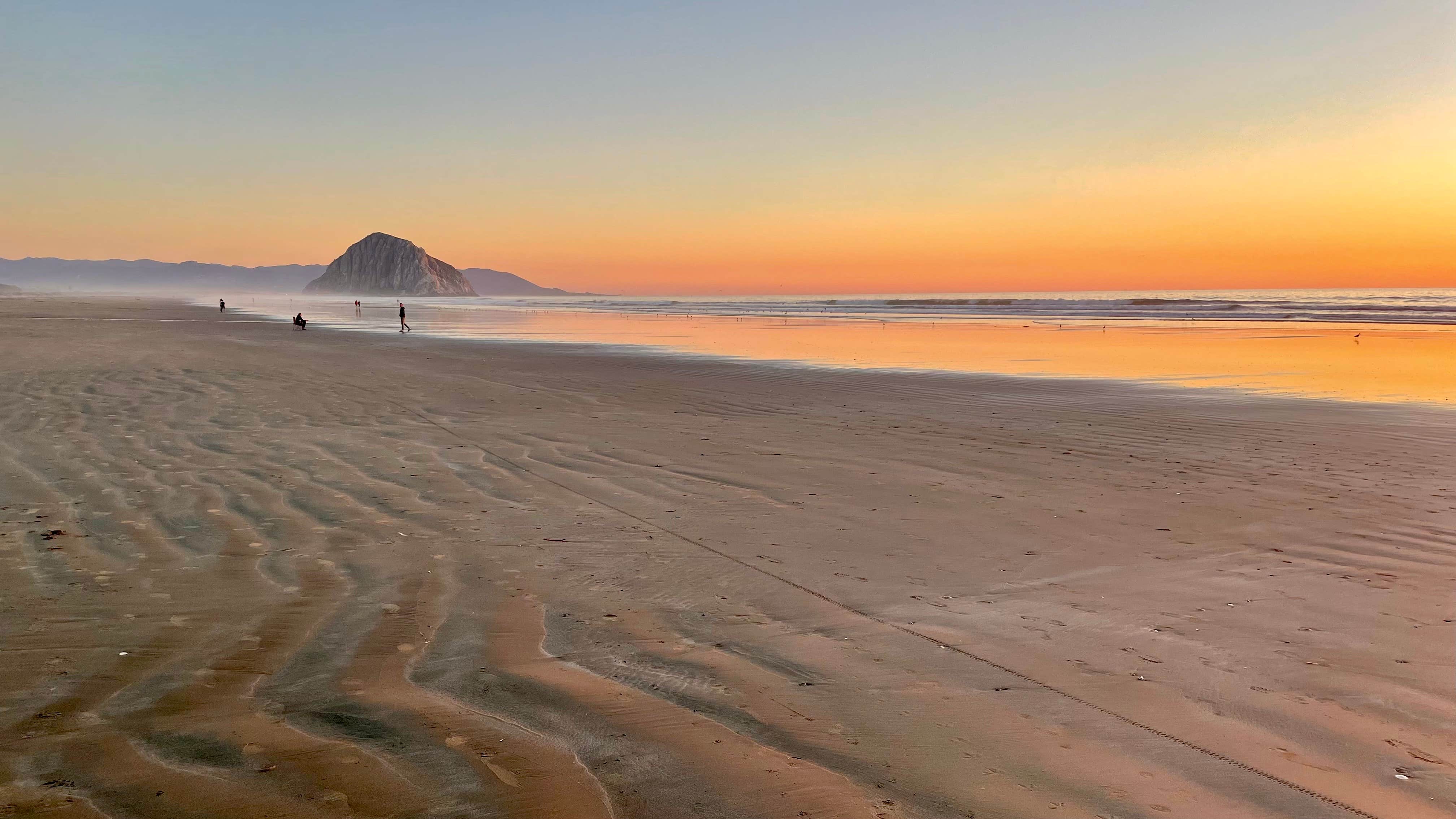 Morro Strand State Beach Campground | Morro Bay, CA