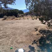 Review photo of Morrow hill dispersed by Jahro M., July 14, 2025