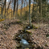 Review photo of Moshannon State Forest by Zack B., April 11, 2024