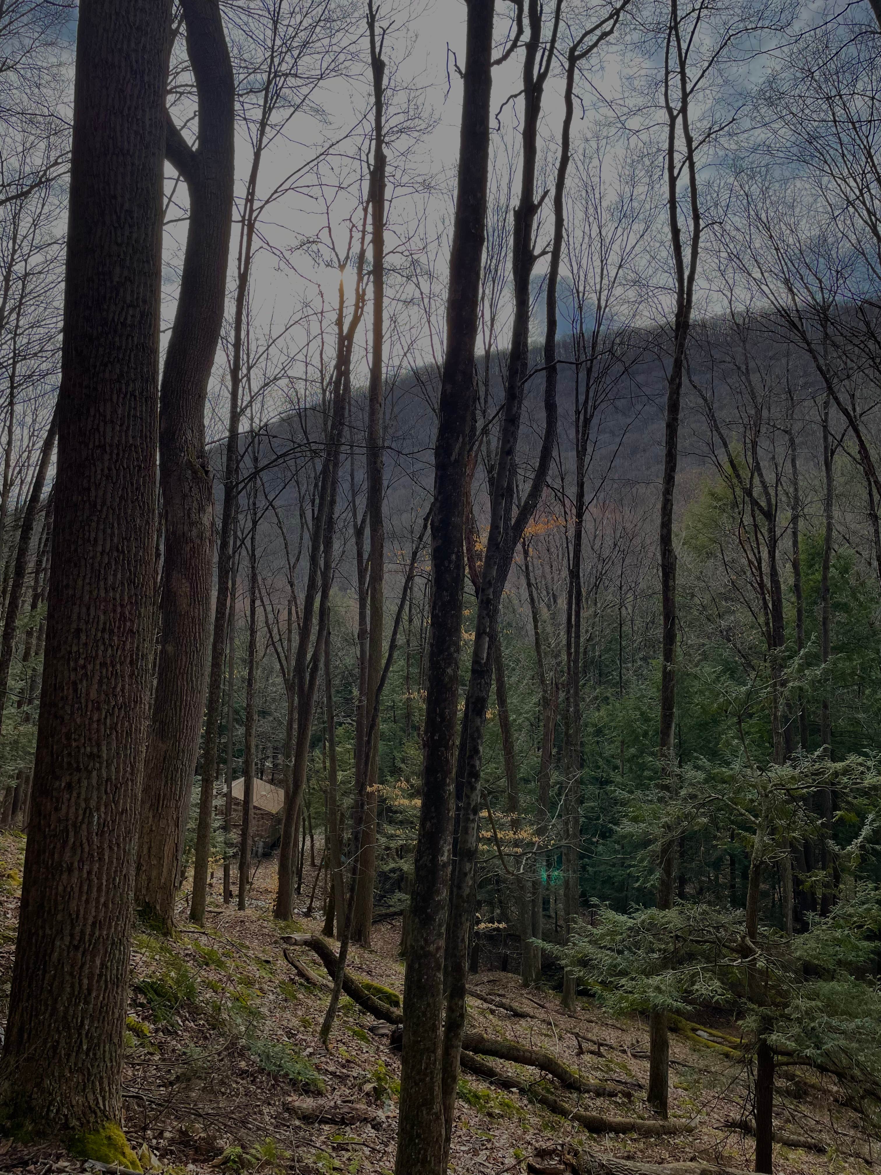 Camper-submitted photo at Medix Run Camping Area — Moshannon State Forest near Clearfield, PA