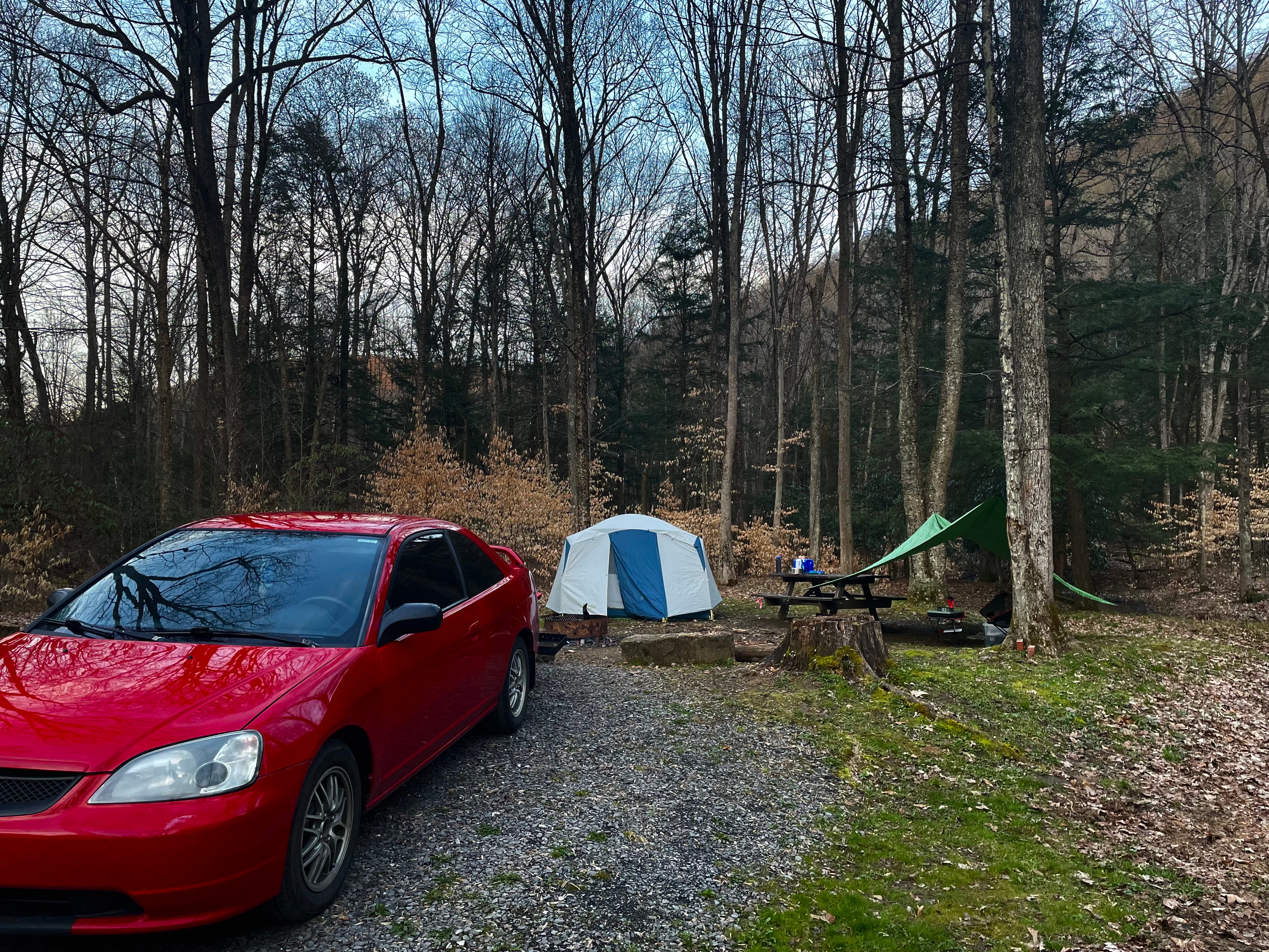Camper submitted image from Moshannon State Forest - 1