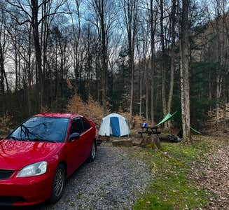 Camper-submitted photo from Seven Points (PA)