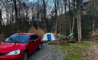 Zack B.'s photo at Medix Run Camping Area — Moshannon State Forest near Weedville, PA