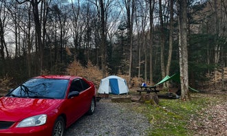 Camping near Red Mill Pond: Moshannon State Forest, Weedville, Pennsylvania