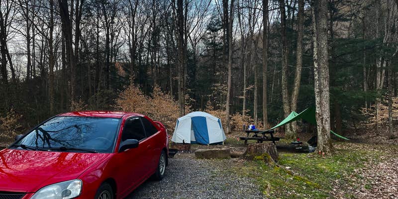 Camper submitted image from Medix Run Camping Area — Moshannon State Forest
