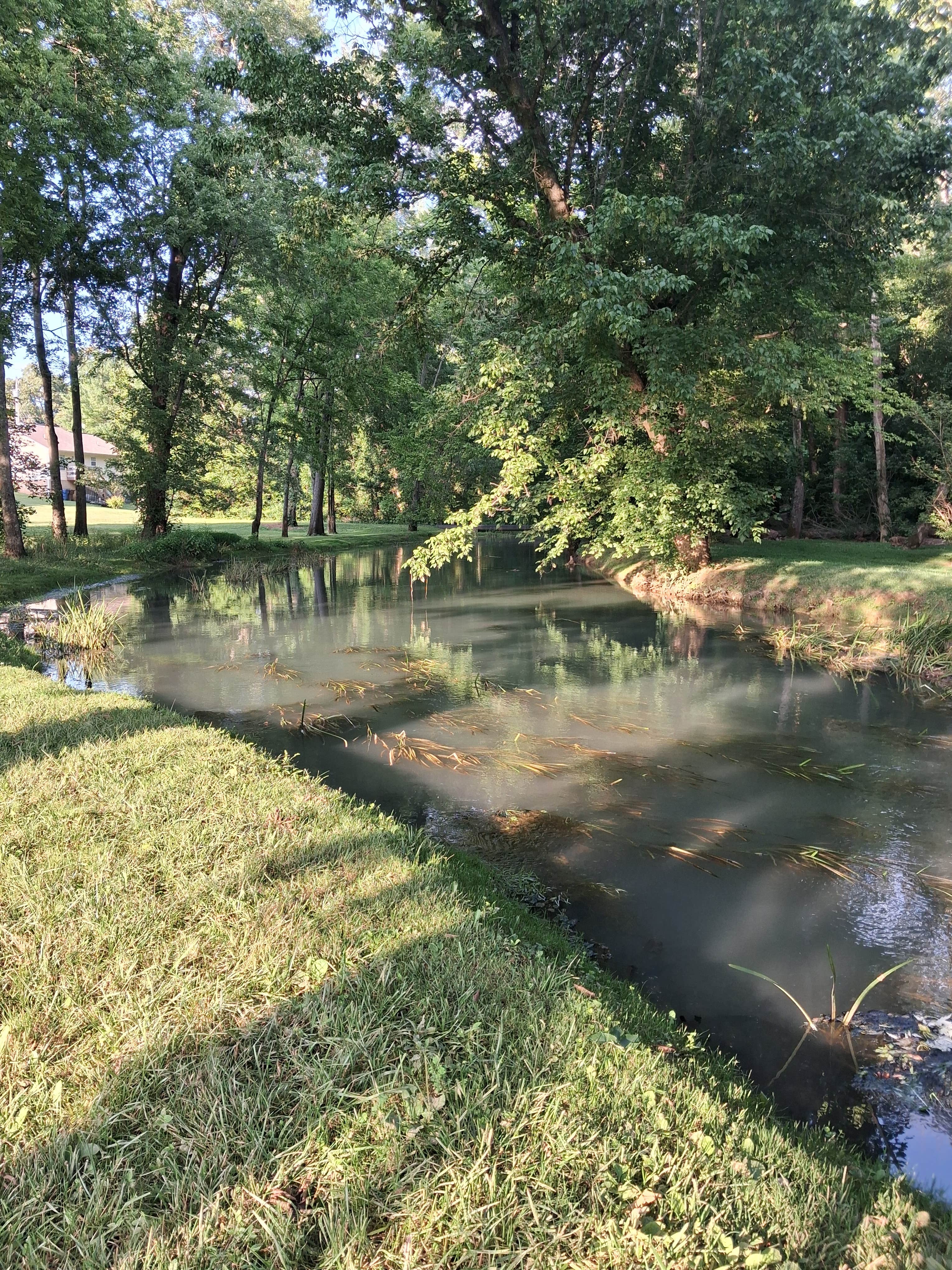 Mossy Creek