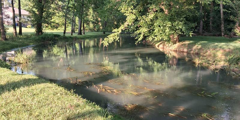 Camper submitted image from Mossy Creek