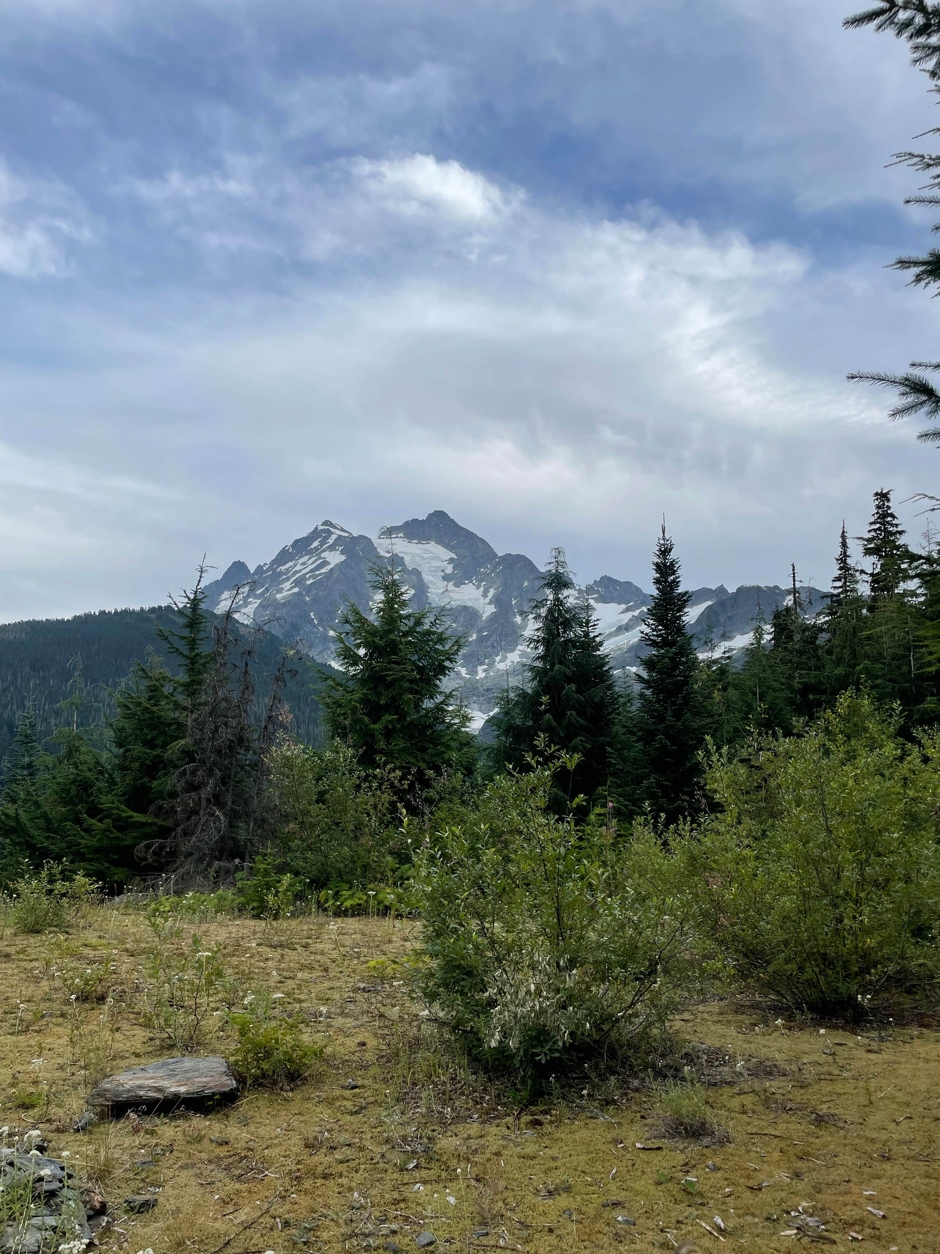 Mount Baker Ski Area