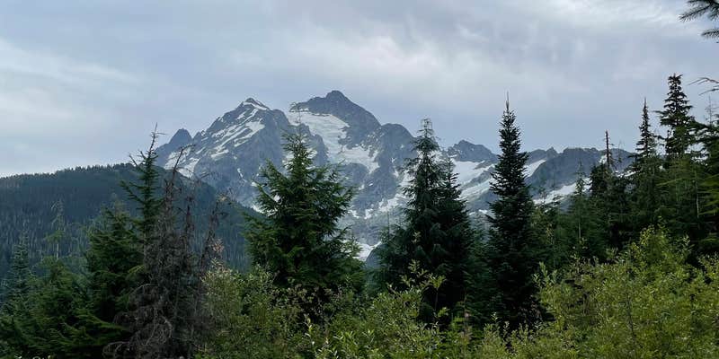 Camper submitted image from Mount Baker Ski Area