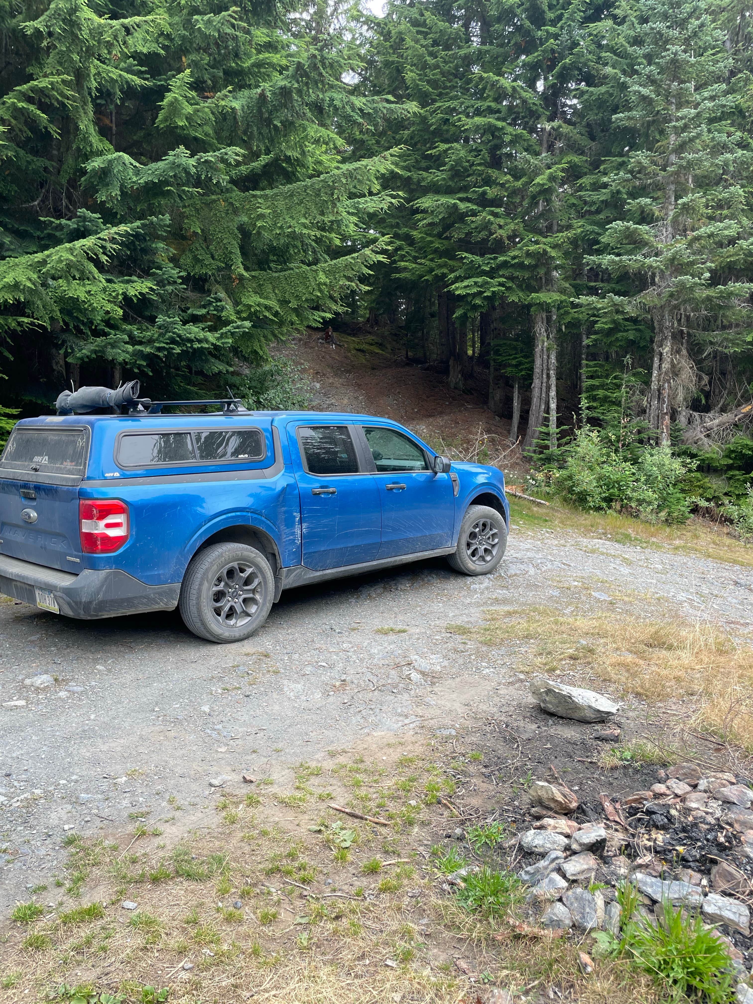 Camper-submitted photo at Mount Baker Ski Area near Maple Falls, WA