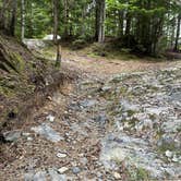 Review photo of Mount Baker Ski Area by Kyle K., August 12, 2026