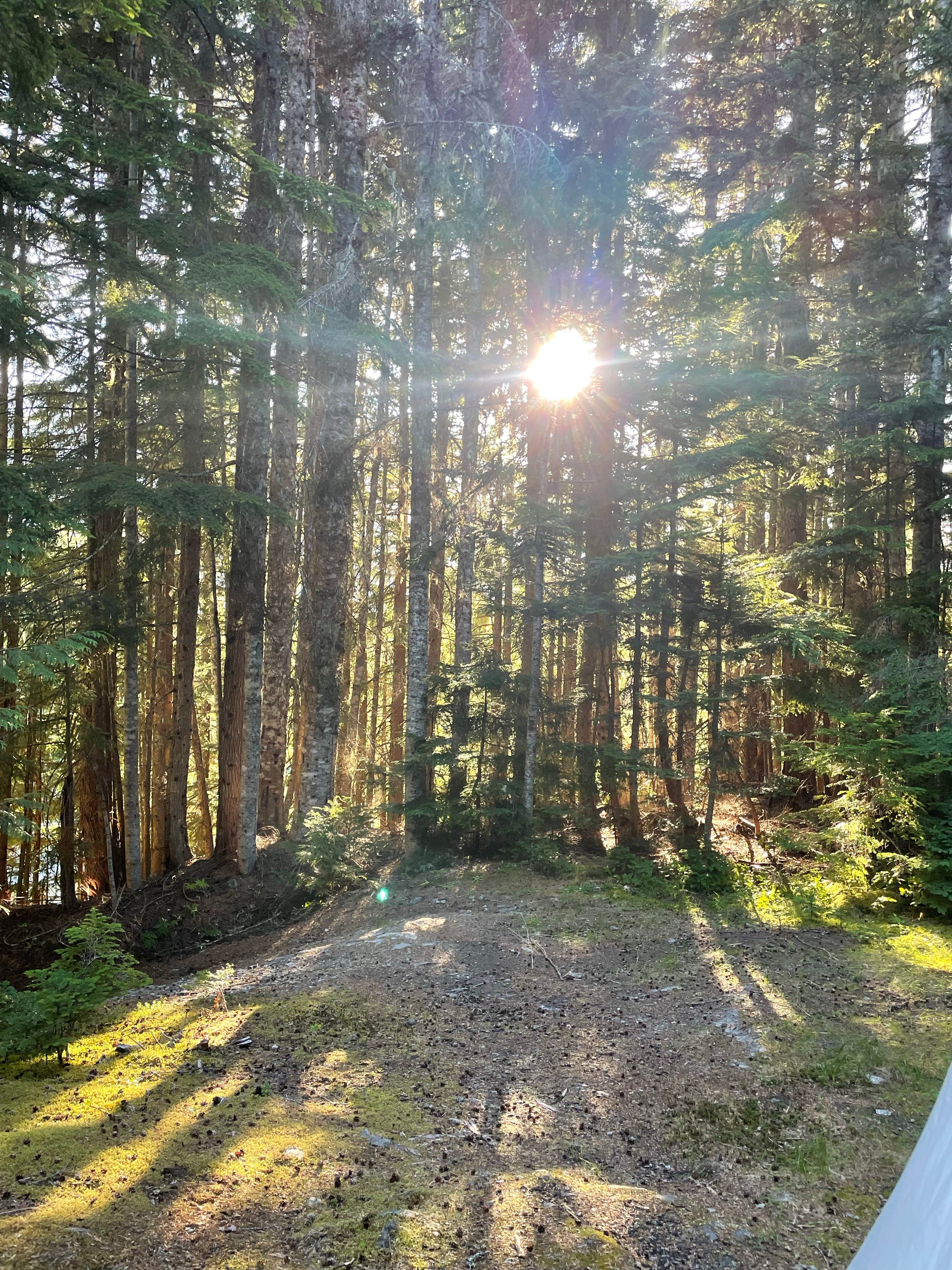 Camper-submitted photo at Mount Baker Ski Area near Maple Falls, WA