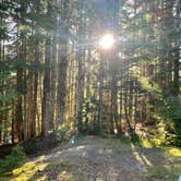 Review photo of Mount Baker Ski Area by Kyle K., August 12, 2026