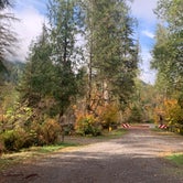 Review photo of Bedal Campground by Jennifer H., October 20, 2023