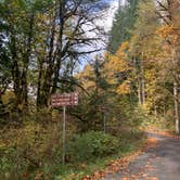 Review photo of Bedal Campground by Jennifer H., October 20, 2023