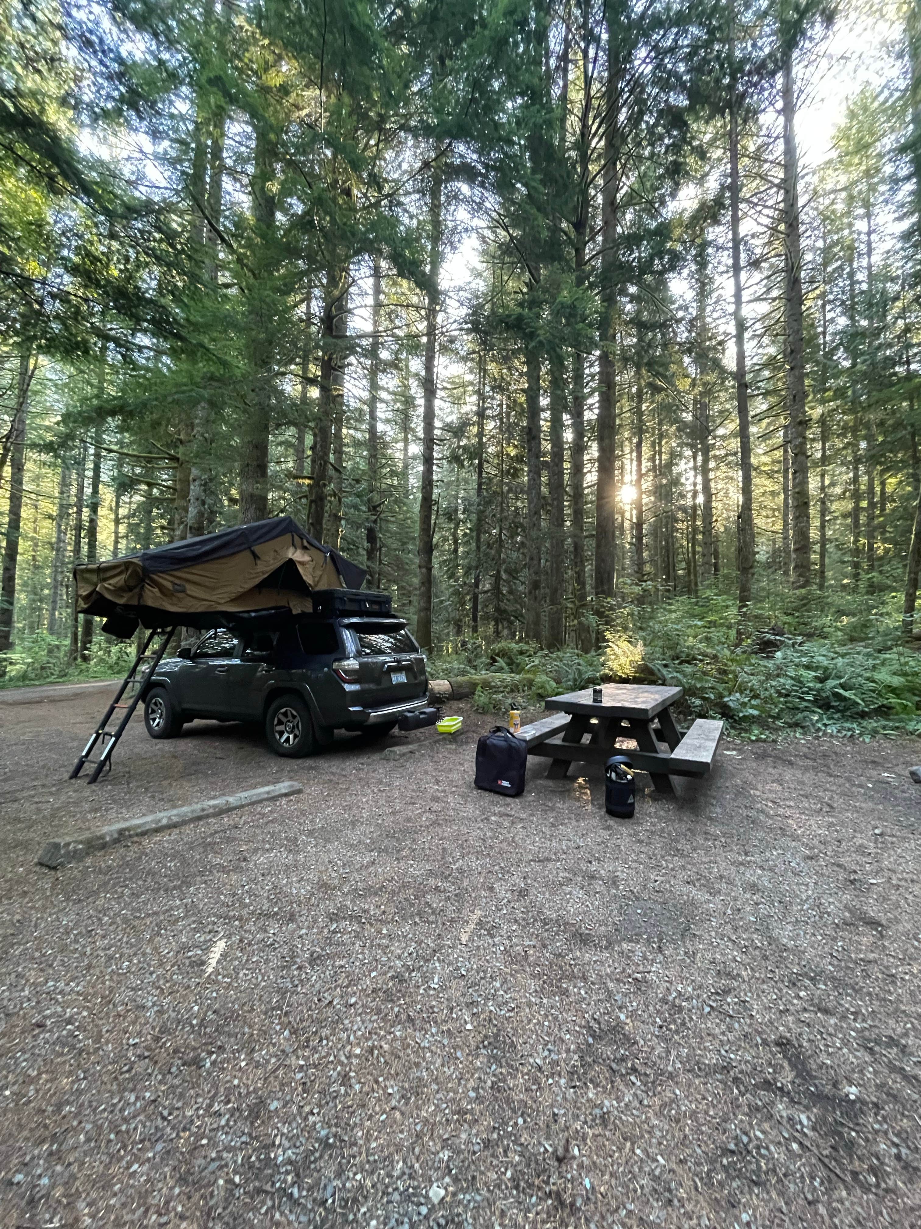 Alex T.'s photo at Mount Baker-Snoqualmie National Forest Tinkham Campground near Snoqualmie Pass, WA