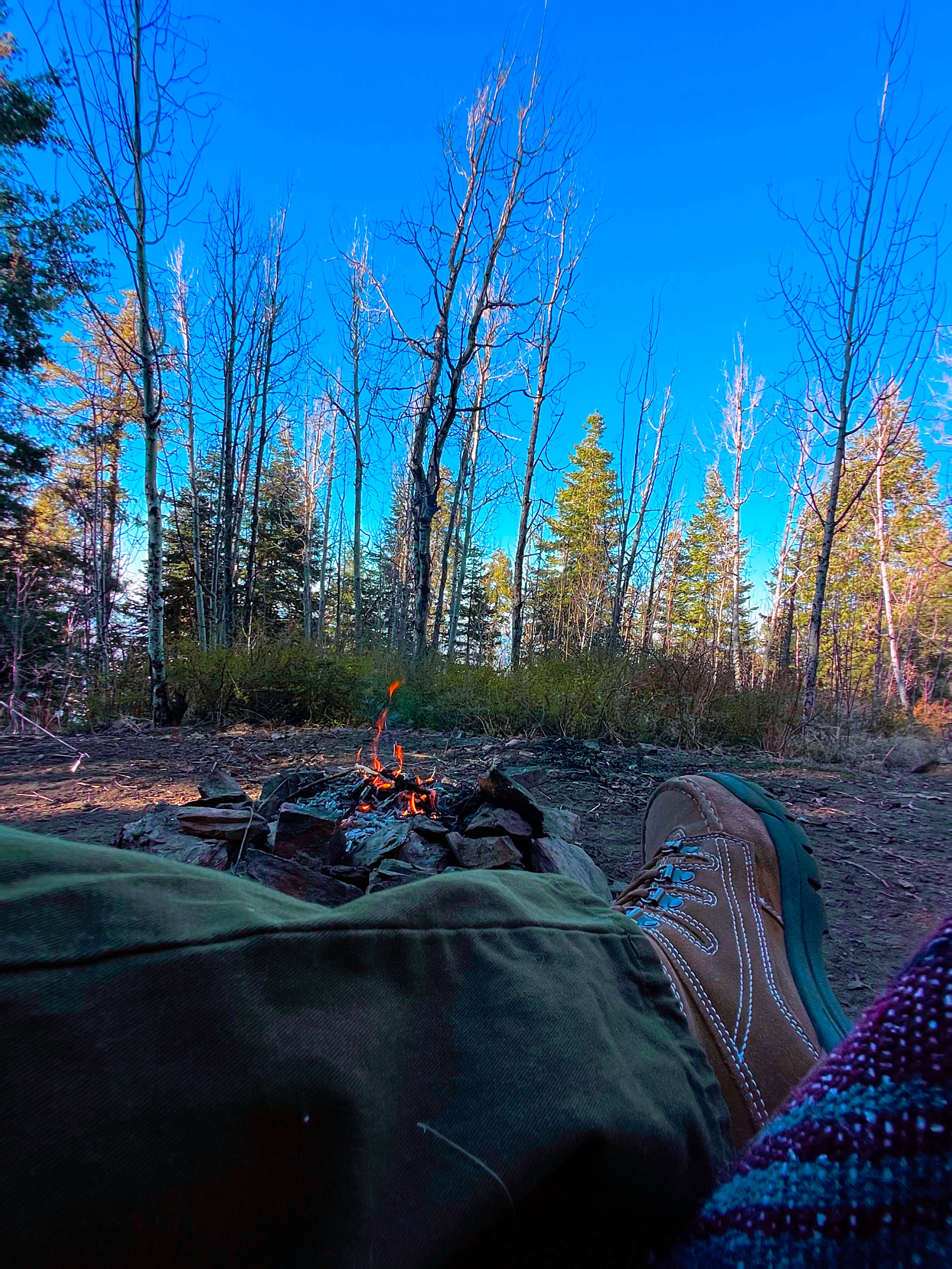 Camping near Redington Pass - Dispersed Camping: Mount Bigelow Dispersed, Willow Canyon, Arizona
