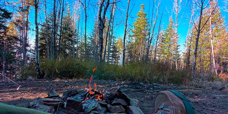 Camper submitted image from Mount Bigelow Dispersed