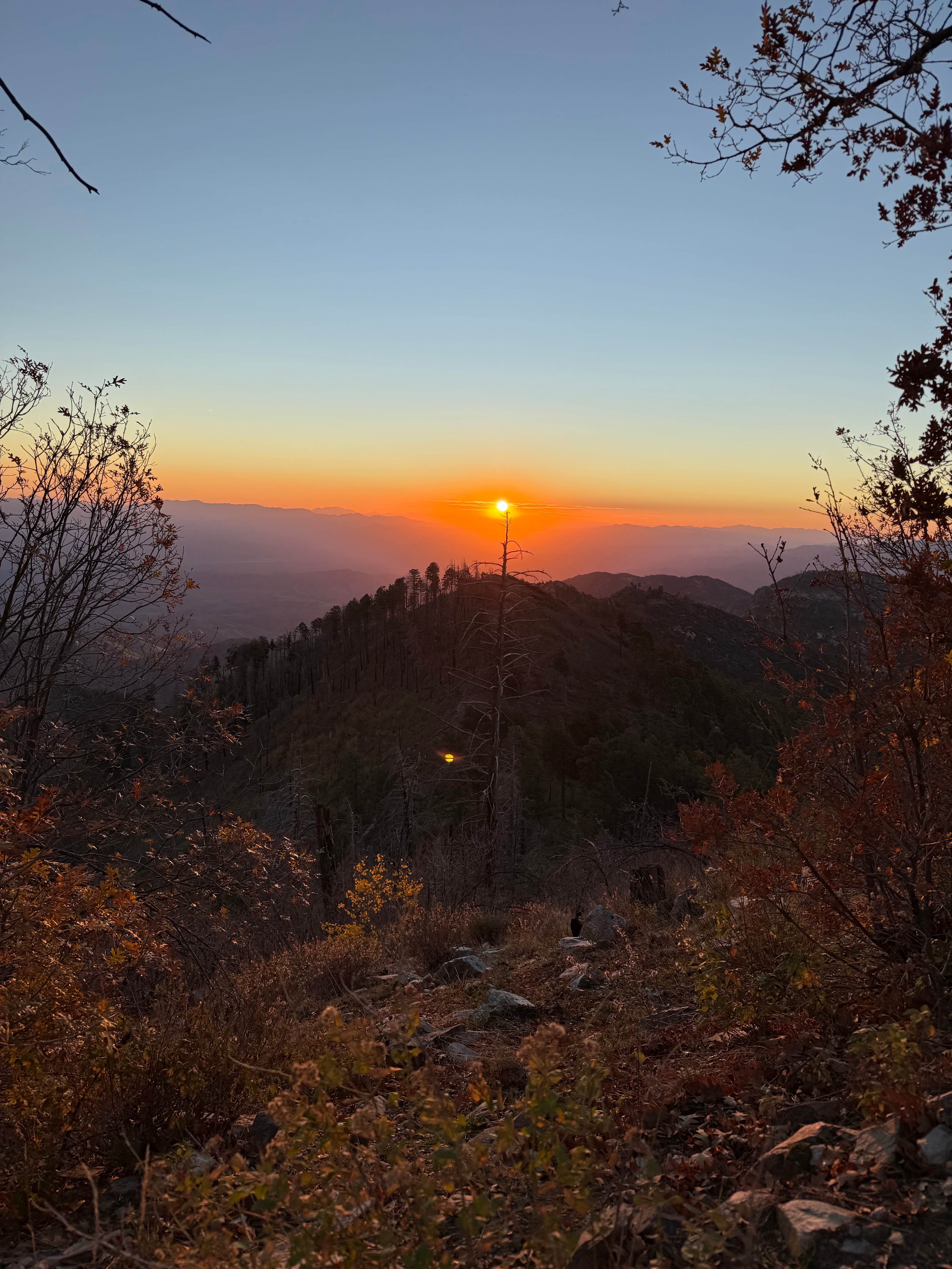 Camper-submitted photo at Mount Bigelow Dispersed near Tucson, AZ