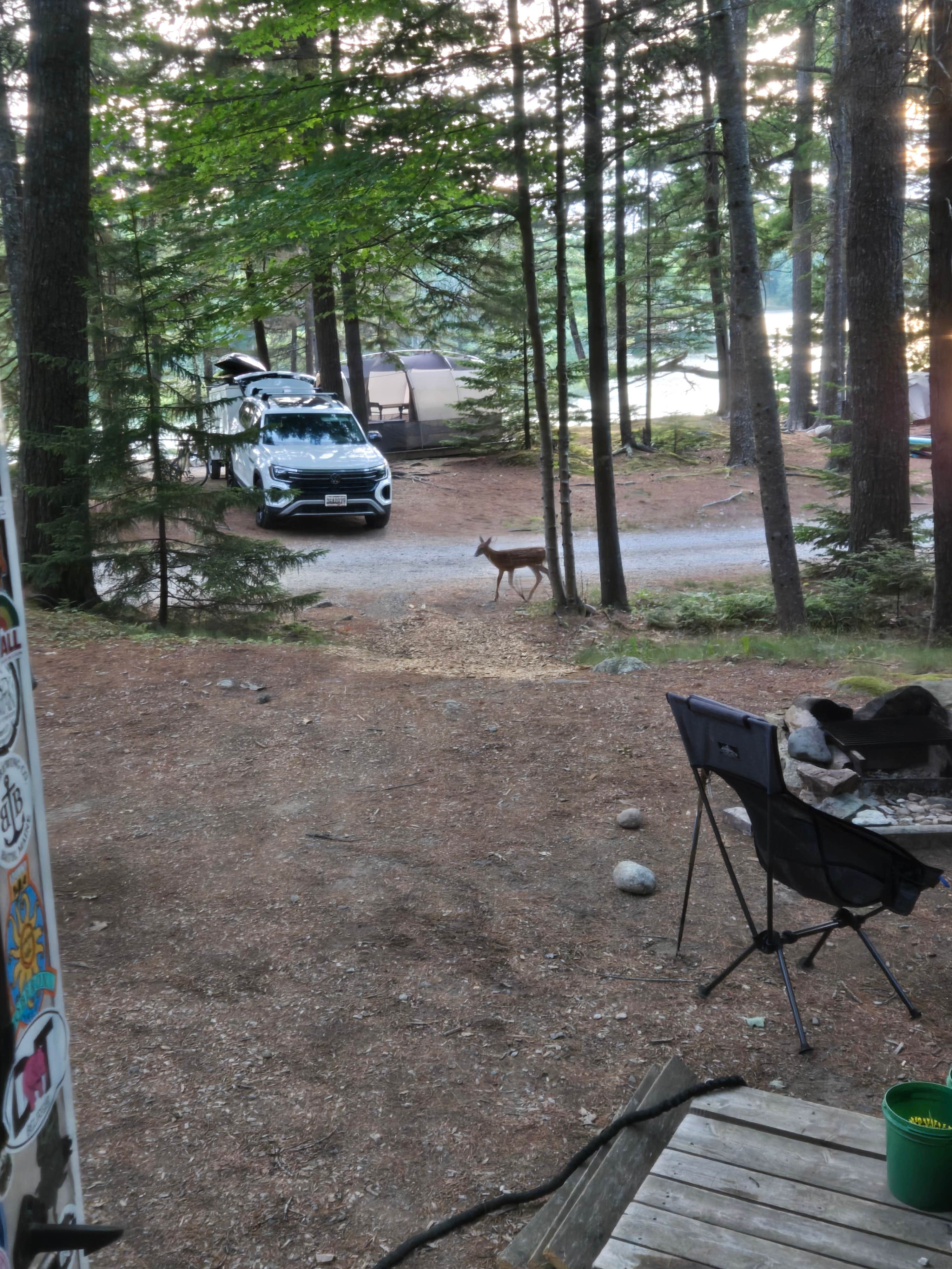 Clean Slate D.'s photo at Mount Desert Campground near Bar Harbor, ME