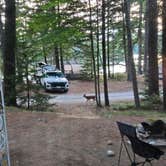 Review photo of Mount Desert Campground by Clean Slate D., August 1, 2025