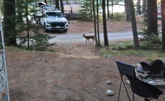 Clean Slate D.'s photo at Mount Desert Campground near Bar Harbor, ME