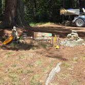 Review photo of Mount Desert Campground by Clean Slate D., August 1, 2025